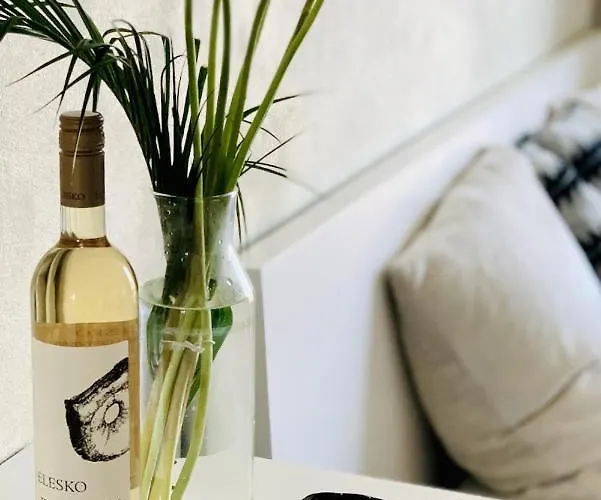 Cozy - Citycentre - Freeparking Appartement